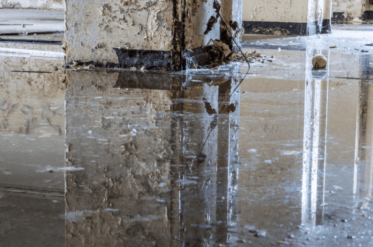 Water Damage Restoration in Spring, TX