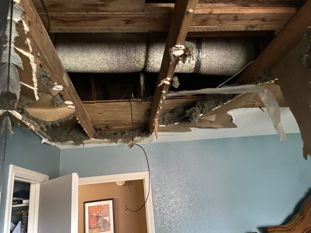 Severe Mold Damage in Texas Home: Identifying Widespread Mold Infestation.