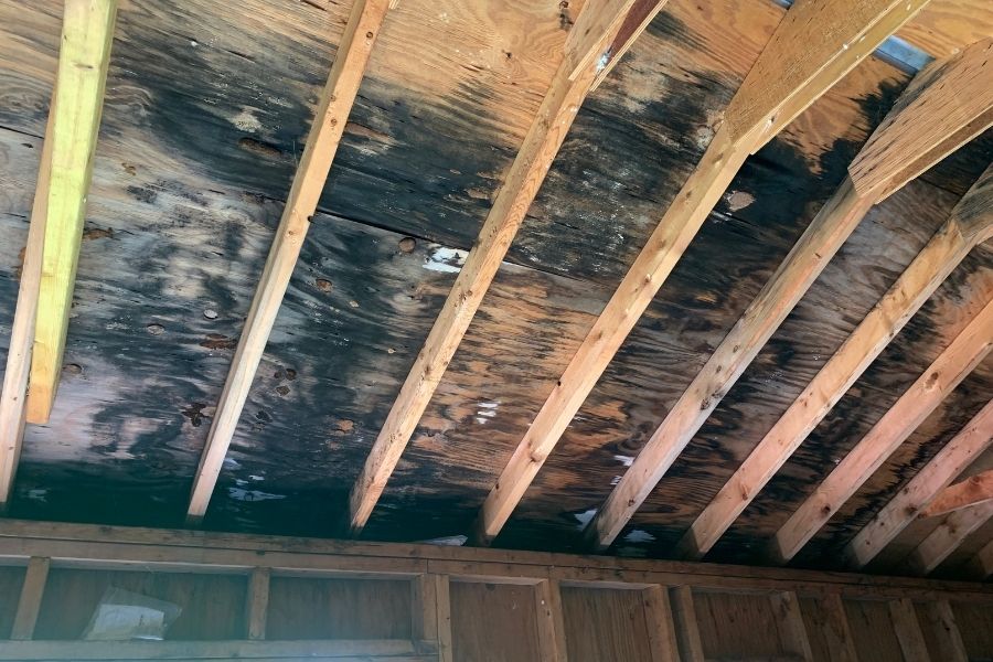 Moisture-related mold growth on interior surfaces
