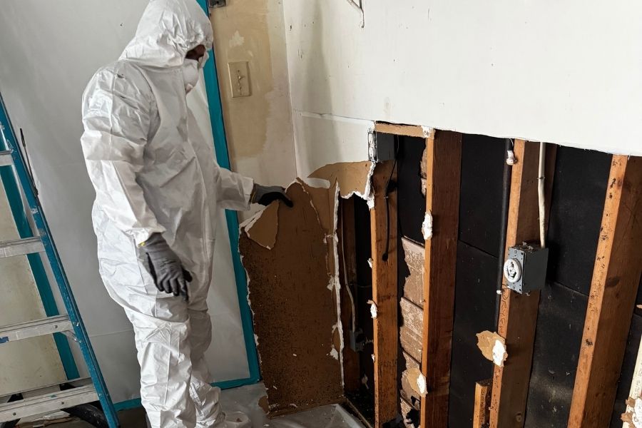 IICRC certified mold remediation process in Huntsville, Texas